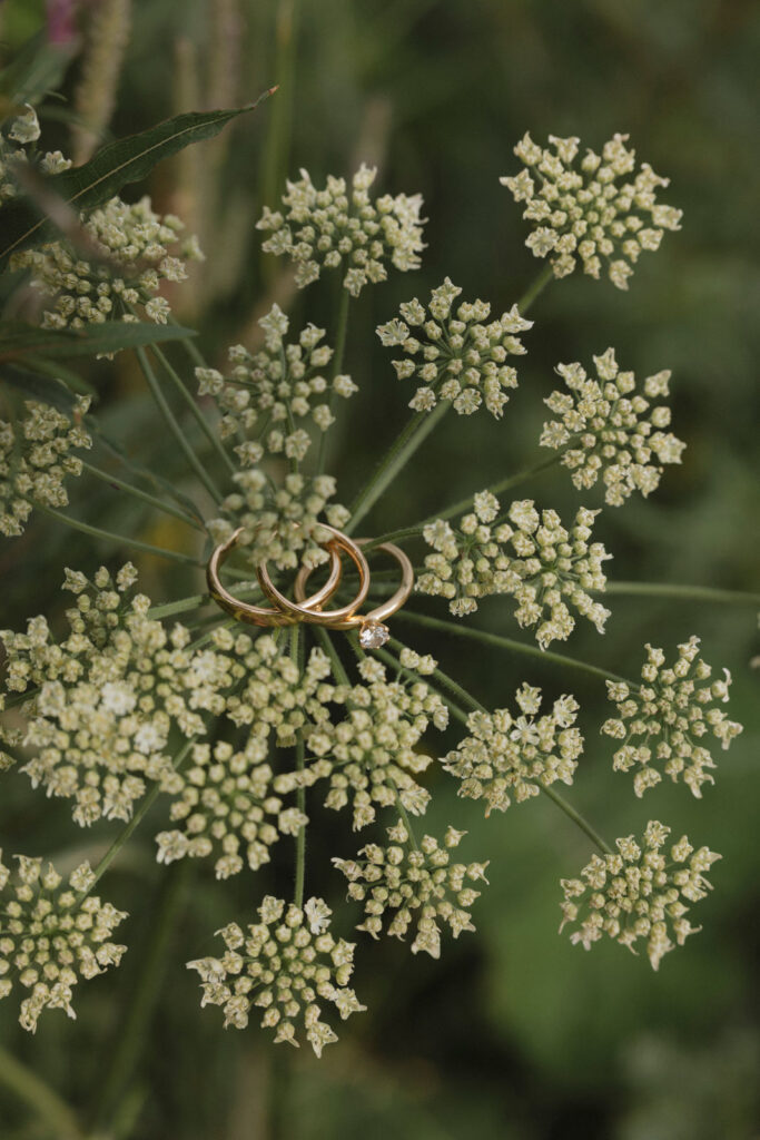 138 - paularina-weddings-2025-luise-andi-preview-138